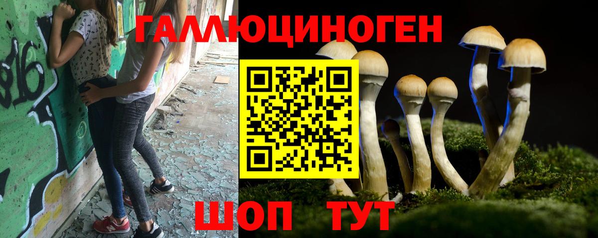 Электросталь  Галлюциногенные грибы Psilocybe  Вход с VPN 